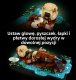 LEGO Ideas Pływające wydry (21366) 4
