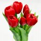 Saska Garden BUKIET 7 TULIPANÓW CZERWONYCH 31CM JAK ŻYWYCH DEKORACJA WIOSENNA 3