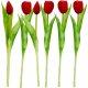 Saska Garden BUKIET 7 TULIPANÓW CZERWONYCH 31CM JAK ŻYWYCH DEKORACJA WIOSENNA 4