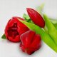 Saska Garden BUKIET 7 TULIPANÓW CZERWONYCH 31CM JAK ŻYWYCH DEKORACJA WIOSENNA 6