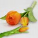 Saska Garden BUKIET 7 TULIPANÓW POMARAŃCZOWYCH 31CM JAK ŻYWYCH DEKORACJA WIOSENNA 6