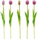 Saska Garden BUKIET 5 TULIPANÓW FIOLETOWYCH 39CM JAK ŻYWYCH DEKORACJA WIOSENNA 4