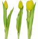 Saska Garden BUKIET 7 TULIPANÓW ŻÓŁTYCH 31CM JAK ŻYWYCH DEKORACJA WIOSENNA 2
