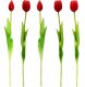 Saska Garden BUKIET 5 TULIPANÓW CZERWONYCH 39CM JAK ŻYWYCH DEKORACJA WIOSENNA 4