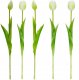 Saska Garden BUKIET 5 TULIPANÓW BIAŁYCH 39CM JAK ŻYWYCH DEKORACJA WIOSENNA 4