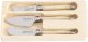 Laguiole LAGUIOLE Cheese knives Laguiole Pearl SET 3 SdV 1