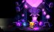 Cat Quest III (PS5) 3