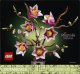 LEGO Botanicals Gałązki magnolii (11510) 1