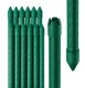 GardenPlus GardenPlus Tyczki do roślin powlekane zielone metalowe 10 szt. 11/90 cm 9