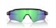 Oakley Oakley Radar Ev Path OO9208 9208F0 38 PRIZM Polarized 2