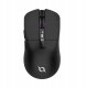 Mysz AQIRYS AQIRYS Myszka Dual Mode: Wirelles&BT+Wired M2 black 5