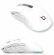 Mysz AQIRYS AQIRYS Myszka Dual Mode: Wirelles&BT+Wired M2 white 12