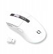 Mysz AQIRYS AQIRYS Myszka Dual Mode: Wirelles&BT+Wired M2 white 9