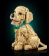 LEGO Icons Szczeniak golden retriever (11384) 5