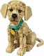 LEGO Icons Szczeniak golden retriever (11384) 8