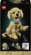 LEGO Icons Szczeniak golden retriever (11384) 9
