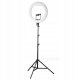 Lampa pierścieniowa Jinbei Lampa pierścieniowa LED Jinbei LR-480II ze statywem Jinbei L-180 1
