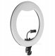 Lampa pierścieniowa Jinbei Lampa pierścieniowa LED Jinbei LR-480II ze statywem Jinbei L-180 5