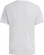 Adidas Koszulka dla dzieci adidas Entrada 26 Jersey szara JZ2525 164cm 3
