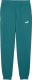 Puma Spodnie męskie Puma Ess 2 Color No.1 Logo zielone 684714 41 XL 2