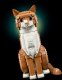 LEGO Ideas Rudy kot (21376) 6