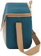 Campingaz NP Campingaz Fold'N Cool Minimaxi 10L 2