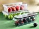 Aptel Beverage Organizer for Frigo 15x36x10cm 3.8L 3