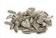Witte Molen SUNFLOWER SEEDS 1KG 1
