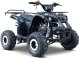 1DEA.me Pojazd Quad Spalinowy WILDPEAK 110cc Czarny 1