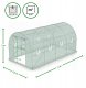 ProGarden Tunel ogrodowy, foliowy VAYU, 4 x 2,5 m, do upraw 4