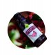 AronPharma OLINI_Syrop z malin i aronii dla dzieci 290ml 3