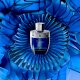 Dolce & Gabbana AFNAN Rare Reef EDP spray 100ml 2