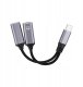 Adapter USB Bluestar USB-C - USB-C x2 Srebrny 3