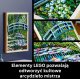 LEGO ART Claude Monet — Most nad stawem z liliami wodnymi (31220) 4