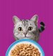 Whiskas Whiskas Rybne przysmaki w galaretce mokra karma dla kota 80x85g 2