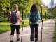 Verk Kijki do chodzenia nordic walking trekkingowe grupa verk końcówki pokrowiec 5