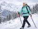 Verk Kijki do chodzenia nordic walking trekkingowe grupa verk końcówki pokrowiec 7