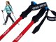 Verk Kijki do chodzenia nordic walking trekkingowe grupa verk końcówki pokrowiec 10