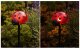 Maximex Lampki ogrodowe solarne, biedronki LED, 14 cm, 4 szt 5