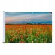 Maximex Osłona balkonowa odporna na UV, 500 x 85 cm 1