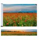 Maximex Osłona balkonowa odporna na UV, 500 x 85 cm 3