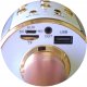 Mikrofon Xrec Mikrofon KARAOKE GŁOŚNIK WS858 BLUETOOTH RÓŻOWY Efekt Echo Dla Dzieci 4