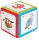 Akson Zestaw kostka edukacyjna z kieszeniami + 78 kart 2