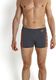 Speedo Kąpielówki męskie Monogram Aquashort AM Endurance+ Szary r. S (8-08742A582) 1