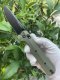 Bestech Knives Nóż KNIVESPL The First OD Green G10 14C28N 2