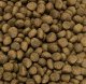 Nutra Gold Gold Dog Snocerek Adult Beef & Salmon 5kg 3