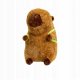 Plush MASKOTKA KAPIBARA Z PLECAKIEM ŻÓŁW PLUSZAK DUŻY XL 30CM PLUSZOWY MIŚ 4