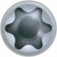 Spax WKRĘT ŁEB CYLINDRYCZNY (100) 6.0*160MM T30 2