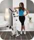 Rower stacjonarny BH Fitness Open & Go YF90 magnetyczny 2
