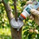 Maść Ogrodnicza do Drzew Krzewów na Rany do Szczepienia Roślin 250g 10